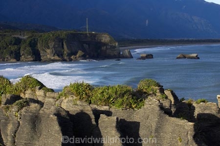 coast;coastal;coastline;erode;eroded;form;formation;formations;geological;geology;layer;layered;layers;N.Z.;natural;New-Zealand;Pancake-Rocks;Paparoa-National-Park;pattern;patterns;Punakaiki;rock;rocks;S.I.;sedementary;SI;South-Is;South-Island;Sth-Is;texture;textures;tide;weathered;West-Coast;Westland
