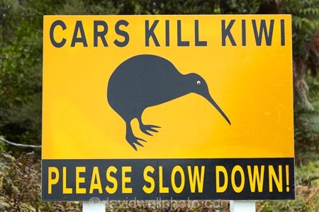 kiwi;Kiwi-sign;Kiwi-warning-sign;kiwis;N.Z.;New-Zealand;NZ;Okarito;road;road-signs;S.I.;SI;sign;signs;South-Is;South-Island;Sth-Is;unusual-road-sign;warnign-signs;warning-sign;West-Coast;Westland