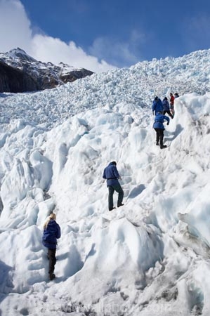 adventure;adventurous;alp;alpine;alps;climb;climbers;climbing;crampon;crampons;Franz-Josef-Glacier;glacial;glacier;glaciers;group;heli-hike;heli-hiker;heli-hikers;heli_hike;heli_hiker;heli_hikers;hike;hiker;hikers;ice;icy;main-divide;mount;mountain;mountainous;mountains;mountainside;mt;mt.;New-Zealand;outdoors;range;ranges;South-Island;South-West-New-Zealand-World-He;southern-alps;Te-Poutini-National-Park;Te-Wahipounamu;tramper;trampers;trek;trekker;trekkers;walk;walker;walkers;West-Coast;westland;Westland-National-Park