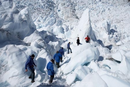 adventure;adventurous;alp;alpine;alps;climb;climbers;climbing;crampon;crampons;Franz-Josef-Glacier;glacial;glacier;glaciers;group;heli-hike;heli-hiker;heli-hikers;heli_hike;heli_hiker;heli_hikers;hike;hiker;hikers;ice;icy;main-divide;mount;mountain;mountainous;mountains;mountainside;mt;mt.;New-Zealand;outdoors;range;ranges;South-Island;South-West-New-Zealand-World-He;southern-alps;Te-Poutini-National-Park;Te-Wahipounamu;tramper;trampers;trek;trekker;trekkers;walk;walker;walkers;West-Coast;westland;Westland-National-Park