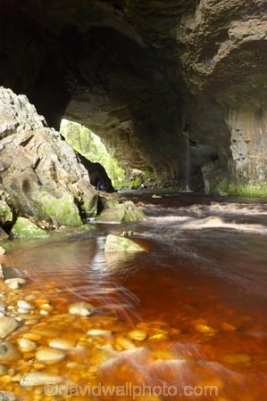 cave;cavern;caverns;caves;grotto;grottos;Kahurangi-National-Park;Karamea;limestone;limestone-formation;limestone-formations;national-park;national-parks;New-Zealand;Oparara-Arch;Oparara-Basin;Oparara-River;river;rivers;South-Island;speleology;spelunk;spelunking;tannin;tannin-stained;tannin-stained-river;tannin-stained-water;tannin_stained;tannin_stained-river;tannin_stained-water;underground;underground-cavern;underground-caverns;West-Coast;Westland