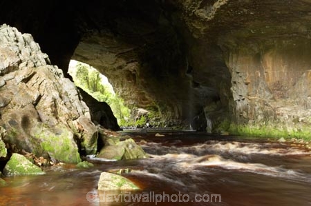 cave;cavern;caverns;caves;grotto;grottos;Kahurangi-National-Park;Karamea;limestone;limestone-formation;limestone-formations;national-park;national-parks;New-Zealand;Oparara-Arch;Oparara-Basin;Oparara-River;river;rivers;South-Island;speleology;spelunk;spelunking;tannin;tannin-stained;tannin-stained-river;tannin-stained-water;tannin_stained;tannin_stained-river;tannin_stained-water;underground;underground-cavern;underground-caverns;West-Coast;Westland