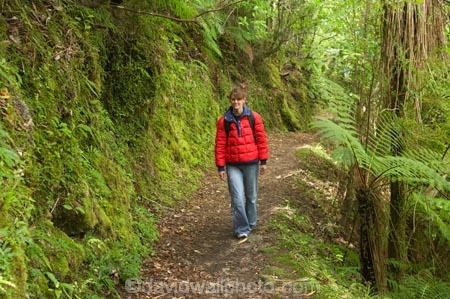 beautiful;beauty;bush;endemic;fern;ferns;forest;forests;Great-Walk;green;Heaphy-Track;hike;hiker;hikers;hiking;Kahurangi-National-Park;Karamea;moss;mosses;mossy;national-park;national-parks;native;native-bush;natives;natural;nature;New-Zealand;Nothofagus;people;person;ponga;pongas;punga;pungas;rain-forest;rain-forests;rain_forest;rain_forests;rainforest;rainforests;scene;scenic;South-Island;southern-beeches;track;tracks;tramp;tramper;trampers;tramping;tree;tree-fern;tree-ferns;trees;trek;treker;trekers;treking;trekker;trekkers;trekking;walk;walker;walkers;walking;walking-track;walking-tracks;West-Coast;Westland