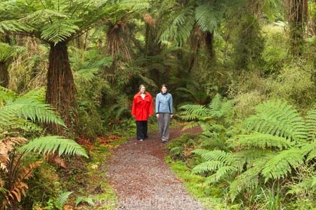 beautiful;beauty;Beech-Forest;bush;cyathea;eco-tourism;eco-tourist;eco-tourists;eco_tourism;eco_tourist;eco_tourists;ecotourism;ecotourist;ecotourists;endemic;fern;ferns;forest;forests;frond;fronds;green;heritage-area;holiday;holidaying;holidays;Lake-Moeraki-Wilderness-Lodge;N.Z.;native;native-bush;natives;natural;nature;New-Zealand;Nothofagus;NZ;people;person;ponga;pongas;punga;pungas;rain-forest;rain-forests;rain_forest;rain_forests;rainforest;rainforests;S.I.;scene;scenic;SI;South-Island;southern-beeches;te-wahi-pounamu;te-wahipounamu;te-wahipounamu-south_west-new-zealand-world-heritage-area;timber;tourism;tourist;tourists;travel;traveler;traveling;traveller;travelling;tree;tree-fern;tree-ferns;tree-trunk;tree-trunks;trees;trunk;trunks;vacation;vacationers;vacationing;vacations;West-Coast;Westland;Wilderness-Lodge-Lake-Moeraki;wood;woods;world-heirtage-site;world-heirtage-sites;world-heritage-area;world-heritage-areas