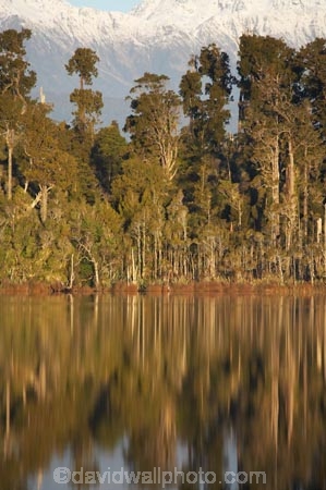 alp;alpine;alps;altitude;beautiful;beauty;bush;calm;endemic;forest;forests;green;high-altitude;lake;Lake-Mahinapua;lakes;main-divide;mount;mountain;mountain-peak;mountainous;mountains;mountainside;mt;mt.;N.Z.;native;native-bush;natives;natural;nature;New-Zealand;NZ;peak;peaks;placid;quiet;rain-forest;rain-forests;rain_forest;rain_forests;rainforest;rainforests;range;ranges;reflection;reflections;S.I.;scene;scenic;serene;SI;smooth;snow;snow-capped;snow_capped;snowcapped;snowy;South-Is.;South-Island;southern-alps;still;tranquil;tree;trees;water;Wesl-Coast;Westland;wood;woods