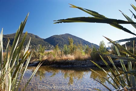 Big-Bay;brook;brooks;creek;creeks;Dorothy-Creek;flax;lake;Lake-Kaniere;lakes;N.Z.;New-Zealand;NZ;S.I.;SI;South-Is.;South-Island;stream;streams;water;Wesl-Coast;Westland;wet