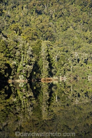 beautiful;beauty;bush;calm;endemic;forest;forests;green;lake;Lake-Mapourika;lakes;N.Z.;native;native-bush;natives;natural;nature;New-Zealand;NZ;placid;quiet;rain-forest;rain-forests;rain_forest;rain_forests;rainforest;rainforests;reflection;reflections;S.I.;scene;scenic;serene;SI;smooth;South-Is.;South-Island;South-West-New-Zealand-World-Heritage-Area;still;Te-Poutini-National-Park;Te-Wahipounamu;tranquil;tree;tree-trunk;tree-trunks;trees;water;West-Coast;Westland;Westland-National-Park;wood;woods;World-Heritage-Area