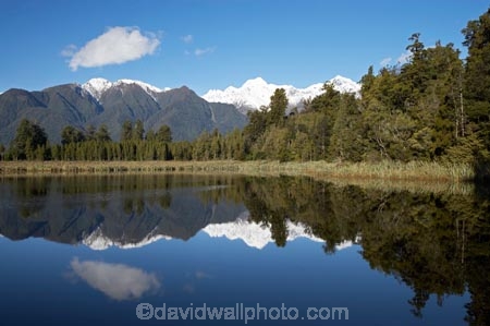 alp;alpine;alps;altitude;Aoraki;Aoraki-Mount-Cook;Aoraki-Mt-Cook;Aoraki-Mt.-Cook;beautiful;beauty;bush;calm;endemic;forest;forests;green;high-altitude;lake;Lake-Matheson;lakes;main-divide;mount;Mount-Cook;Mount-Tasman;mountain;mountain-peak;mountainous;mountains;mountainside;mt;Mt-Cook;Mt-Tasman;mt.;Mt.-Cook;Mt.-Tasman;N.Z.;native;native-bush;natives;natural;nature;New-Zealand;NZ;peak;peaks;placid;quiet;rain-forest;rain-forests;rain_forest;rain_forests;rainforest;rainforests;range;ranges;reflection;reflections;S.I.;scene;scenic;serene;SI;smooth;snow;snow-capped;snow_capped;snowcapped;snowy;South-Is.;South-Island;South-West-New-Zealand-World-Heritage-Area;southern-alps;still;summit;summits;Te-Poutini-National-Park;Te-Wahipounamu;tranquil;tree;tree-trunk;tree-trunks;trees;water;West-Coast;Westland;Westland-National-Park;wood;woods;World-Heritage-Area