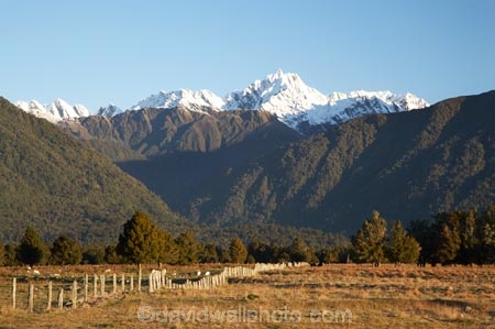 agricultural;agriculture;alp;alpine;alps;altitude;country;countryside;farm;farming;farmland;farms;fence;fence-line;fence-lines;fence_line;fence_lines;fenceline;fencelines;fences;field;fields;high-altitude;Lyttle-Peak;main-divide;meadow;meadows;mount;mountain;mountain-peak;mountainous;mountains;mountainside;mt;mt.;N.Z.;New-Zealand;NZ;paddock;paddocks;pasture;pastures;peak;peaks;range;ranges;rural;S.I.;SI;snow;snow-capped;snow_capped;snowcapped;snowy;South-Is.;South-Island;southern-alps;summit;summits;West-Coast;Westland