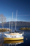 boat;boats;calm;lake;Lake-Brunner;lakes;marina;marinas;Moana;N.Z.;New-Zealand;NZ;placid;pleasure-boat;pleasure-boats;quiet;reflection;reflections;S.I.;serene;SI;smooth;South-Is.;South-Island;still;tranquil;water;Wesl-Coast;Westland;yacht;yachts