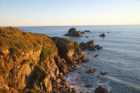 Buller-District;Buller-Region;Cape-Foulwind;Cape-Foulwind-Walkway;coast;coastal;coastline;coastlines;coasts;foreshore;late-light;N.Z.;New-Zealand;NZ;ocean;rocks;rocky;rocky-coastline;S.I.;sea;shore;shoreline;shorelines;shores;SI;South-Is;South-Island;sunlight;Tasman-Sea;water;West-Coast;Westland