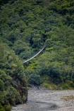 bridge;bridges;bush;foot-bridge;foot-bridges;footbridge;footbridges;forest;forests;Franz-Joseph-Glacier;N.Z.;native-bush;native-forest;native-forests;native-tree;native-trees;native-woods;natural;nature;New-Zealand;NZ;pedestrian-bridge;pedestrian-bridges;Roberts-Point-Track;S.I.;SI;South-Is;South-Island;Sth-Is;suspension-bridge;suspension-bridges;swing-bridge;swing-bridges;tree;trees;West-Coast;Westland;wire-bridge;wire-bridges;wood;woods