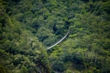 bridge;bridges;bush;foot-bridge;foot-bridges;footbridge;footbridges;forest;forests;Franz-Joseph-Glacier;N.Z.;native-bush;native-forest;native-forests;native-tree;native-trees;native-woods;natural;nature;New-Zealand;NZ;pedestrian-bridge;pedestrian-bridges;Roberts-Point-Track;S.I.;SI;South-Is;South-Island;Sth-Is;suspension-bridge;suspension-bridges;swing-bridge;swing-bridges;tree;trees;West-Coast;Westland;wire-bridge;wire-bridges;wood;woods