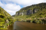 beautiful;beauty;bluff;bluffs;bush;cliff;cliffs;endemic;forest;forests;green;mountainside;mountainsides;national-park;national-parks;native;native-bush;natives;natural;nature;New-Zealand;Paparoa-National-Park;Pororari-River;rain-forest;rain-forests;rain_forest;rain_forests;rainforest;rainforests;river;rivers;scene;scenic;South-Island;steep;timber;tree;tree-trunk;tree-trunks;trees;trunk;trunks;west-coast;westland;wood;woods