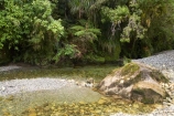 brook;brooks;bush;color;colors;colour;colours;creek;creeks;fern;ferns;forest;forests;Fox-River;green;lush;native;natural;nature;New-Zealand;palms;Paparoa-National-Park;pool;pools;rain-forest;river;rivers;south-island;stream;streams;unspoilt;untouched;verdant;west-coast;westland;wilderness