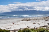 Beach;beaches;drift-wood;new-zealand;ocean;sea;south-island;tasman-sea;wave;waves;west-coast;westland;Westport