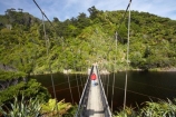 bridge;bridges;foot-bridge;foot-bridges;footbridge;footbridges;Great-Walk;Great-Walks;Heaphy-Track;hike;hiker;hikers;hiking;hiking-track;hiking-tracks;Kahurangi-National-Park;Karamea;Kohaihai-River;national-park;national-parks;New-Zealand;pedestrian-bridge;pedestrian-bridges;people;person;rivers;South-Island;suspension-bridge;suspension-bridges;swing-bridge;swing-bridges;tannin;tannin-stained;tannin-stained-river;tannin-stained-water;tannin_stained;tannin_stained-river;tannin_stained-water;track;tracks;walker;walkers;walking;walking-track;walking-tracks;West-Coast;Westland;wire-bridge;wire-bridges