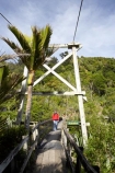 bridge;bridges;foot-bridge;foot-bridges;footbridge;footbridges;Great-Walk;Great-Walks;Heaphy-Track;hike;hiker;hikers;hiking;hiking-track;hiking-tracks;Kahurangi-National-Park;Karamea;Kohaihai-River;national-park;national-parks;New-Zealand;nikau;nikau-palm;nikaus;pedestrian-bridge;pedestrian-bridges;people;person;rivers;South-Island;suspension-bridge;suspension-bridges;swing-bridge;swing-bridges;track;tracks;walker;walkers;walking;walking-track;walking-tracks;West-Coast;Westland;wire-bridge;wire-bridges