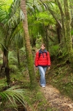 beautiful;beauty;bush;endemic;fern;ferns;forest;forests;Great-Walk;green;Heaphy-Track;hike;hiker;hikers;hiking;Kahurangi-National-Park;Karamea;lush;national-park;national-parks;native;native-bush;natives;natural;nature;New-Zealand;nikau;nikau-palm;nikaus;Nothofagus;people;person;ponga;pongas;punga;pungas;rain-forest;rain-forests;rain_forest;rain_forests;rainforest;rainforests;scene;scenic;South-Island;southern-beeches;tramp;tramper;trampers;tramping;tree;tree-fern;tree-ferns;trees;trek;treker;trekers;treking;trekker;trekkers;trekking;verdant;walk;walker;walkers;walking;West-Coast;Westland