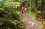 beautiful;beauty;Beech-Forest;bush;eco-tourism;eco-tourist;eco-tourists;eco_tourism;eco_tourist;eco_tourists;ecotourism;ecotourist;ecotourists;endemic;forest;forests;green;heritage-area;holiday;holidaying;holidays;Lake-Moeraki-Wilderness-Lodge;N.Z.;native;native-bush;natives;natural;nature;New-Zealand;Nothofagus;NZ;people;person;rain-forest;rain-forests;rain_forest;rain_forests;rainforest;rainforests;S.I.;scene;scenic;SI;South-Island;southern-beeches;te-wahi-pounamu;te-wahipounamu;te-wahipounamu-south_west-new-zealand-world-heritage-area;timber;tourism;tourist;tourists;travel;traveler;traveling;traveller;travelling;tree;tree-trunk;tree-trunks;trees;trunk;trunks;vacation;vacationers;vacationing;vacations;West-Coast;Westland;Wilderness-Lodge-Lake-Moeraki;wood;woods;world-heirtage-site;world-heirtage-sites;world-heritage-area;world-heritage-areas