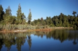 calm;lake;Lake-Mapourika;lakes;N.Z.;New-Zealand;NZ;placid;quiet;reflection;reflections;S.I.;serene;SI;smooth;South-Is.;South-Island;South-West-New-Zealand-World-Heritage-Area;still;Te-Poutini-National-Park;Te-Wahipounamu;tranquil;water;West-Coast;Westland;Westland-National-Park;World-Heritage-Area