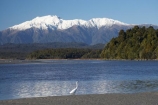 Animal;Animals;Aquatic-bird;Aquatic-birds;bird;birds;Egretta-alba;endangered;estuaries;estuary;fauna;feather;feathers;fly;flying;heron;herons;inlet;inlets;Kotuku;lagoon;lagoons;mountain;mountains;N.Z.;native;natives;natural;Nature;New-Zealand;NZ;Okarito-Lagoon;Ornithology;rare;S.I.;SI;snow-capped;South-Is.;South-Island;Southern-Alps;threatened;tidal;tide;Wading-bird;Wading-birds;water;West-Coast;Westland;white;White-Heron;Wild;Wildlife