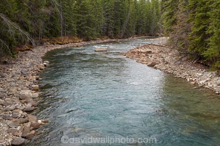 AB;Alberta;Albertas-Rockies;Canada;Canadian;Canadian-Cordillera;Canadian-Rockies;Canadian-Rocky-Mountain-Parks;Canadian-Rocky-Mountain-Parks-World-Heritage-Site;Jasper-N.P.;Jasper-National-Park;Jasper-NP;Maligne-Canyon;Maligne-River;national-park;national-parks;North-America;North-American-Cordillera;North-American-Rocky-Mountains-Range;Rocky-Mountains;Rocky-Mountains-Range;UN-world-heritage-area;UN-world-heritage-site;UNESCO-World-Heritage-area;UNESCO-World-Heritage-Site;united-nations-world-heritage-area;united-nations-world-heritage-site;Western-Canada;Western-Cordillera;world-heritage;world-heritage-area;world-heritage-areas;World-Heritage-Park;World-Heritage-site;World-Heritage-Sites