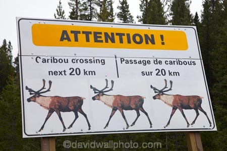 AB;Alberta;Albertas-Rockies;Canada;Canadian;Canadian-Cordillera;Canadian-Rockies;Canadian-Rocky-Mountain-Parks;Canadian-Rocky-Mountain-Parks-World-Heritage-Site;Caribou-sign;Caribou-signs;Caribou-warning-sign;Icefield-Parkway;Icefields-Parkway;Jasper-N.P.;Jasper-National-Park;Jasper-NP;national-park;national-parks;North-America;North-American-Cordillera;North-American-Rocky-Mountains-Range;Promenade-des-Glaciers;road-sign;road-signs;road_sign;road_signs;roads;roadsign;roadsigns;Rocky-Mountains;Rocky-Mountains-Range;sign;signs;symbol;symbols;UN-world-heritage-area;UN-world-heritage-site;UNESCO-World-Heritage-area;UNESCO-World-Heritage-Site;united-nations-world-heritage-area;united-nations-world-heritage-site;warn;warning;warning-sign;warning-signs;Western-Canada;Western-Cordillera;wildlife;wildlife-sign;wildlife-signs;wildlife-warning-sign;wildlife-warning-signs;world-heritage;world-heritage-area;world-heritage-areas;World-Heritage-Park;World-Heritage-site;World-Heritage-Sites;yellow-sign;yellow-signs
