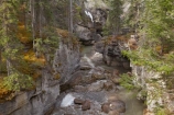 AB;Alberta;Albertas-Rockies;Canada;Canadian;Canadian-Cordillera;Canadian-Rockies;Canadian-Rocky-Mountain-Parks;Canadian-Rocky-Mountain-Parks-World-Heritage-Site;canyon;canyons;eroded;erosion;gorge;gorges;Jasper-N.P.;Jasper-National-Park;Jasper-NP;karst-landscape;limestone;Maligne-Canyon;Maligne-River;national-park;national-parks;North-America;North-American-Cordillera;North-American-Rocky-Mountains-Range;ravine;ravines;Rocky-Mountains;Rocky-Mountains-Range;slot-canyon;slot-canyons;UN-world-heritage-area;UN-world-heritage-site;UNESCO-World-Heritage-area;UNESCO-World-Heritage-Site;united-nations-world-heritage-area;united-nations-world-heritage-site;Western-Canada;Western-Cordillera;world-heritage;world-heritage-area;world-heritage-areas;World-Heritage-Park;World-Heritage-site;World-Heritage-Sites