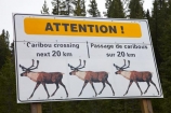 AB;Alberta;Albertas-Rockies;Canada;Canadian;Canadian-Cordillera;Canadian-Rockies;Canadian-Rocky-Mountain-Parks;Canadian-Rocky-Mountain-Parks-World-Heritage-Site;Caribou-sign;Caribou-signs;Caribou-warning-sign;Icefield-Parkway;Icefields-Parkway;Jasper-N.P.;Jasper-National-Park;Jasper-NP;national-park;national-parks;North-America;North-American-Cordillera;North-American-Rocky-Mountains-Range;Promenade-des-Glaciers;road-sign;road-signs;road_sign;road_signs;roads;roadsign;roadsigns;Rocky-Mountains;Rocky-Mountains-Range;sign;signs;symbol;symbols;UN-world-heritage-area;UN-world-heritage-site;UNESCO-World-Heritage-area;UNESCO-World-Heritage-Site;united-nations-world-heritage-area;united-nations-world-heritage-site;warn;warning;warning-sign;warning-signs;Western-Canada;Western-Cordillera;wildlife;wildlife-sign;wildlife-signs;wildlife-warning-sign;wildlife-warning-signs;world-heritage;world-heritage-area;world-heritage-areas;World-Heritage-Park;World-Heritage-site;World-Heritage-Sites;yellow-sign;yellow-signs