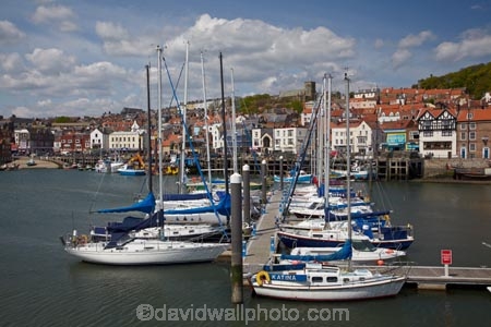 boat;boats;Britain;British-Isles;calm;calmness;dock;docks;England;English;Europe;fishing-boats;G.B.;GB;Great-Britain;harbor;harbors;harbour;harbours;hull;hulls;jetties;jetty;launch;launches;marina;marinas;mast;masts;N.E.-England;NE-England;North-East-England;North-Yorkshire;peaceful;peacefulness;pier;piers;port;ports;quay;quays;sail;sailing;Scarborough;still;stillness;tranquil;tranquility;U.K.;UK;United-Kingdom;waterfront;waterside;wharf;wharfes;wharves;yacht;yachts;Yorkshire