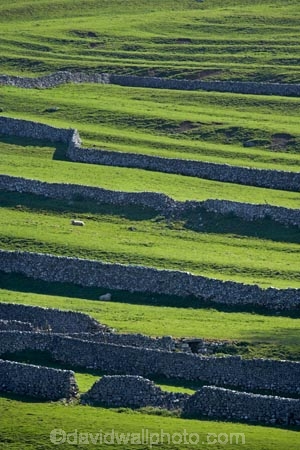 agricultural;agriculture;Britain;British-Isles;country;countryside;dry-stone-wall;dry-stone-walls;dry_stone-wall;dry_stone-walls;drystone-wall;drystone-walls;England;English-countryside;Europe;farm;farming;farmland;farms;fence;fence-line;fence-lines;fence_line;fence_lines;fenceline;fencelines;fences;field;fields;G.B.;GB;grass;Great-Britain;green;heritage;historic;livestock;Malham;meadow;meadows;North-Yorkshire;Northern-England;paddock;paddocks;pasture;pastures;rock-wall;rock-walls;rural;sheep;stock;stone-fence;stone-fences;stone-wall;stone-walling;stone-wallings;stone-walls;tradition;traditional;U.K.;UK;United-Kingdom;Yorkshire;Yorkshire-countryside;Yorkshire-Dales;Yorkshire-Dales-National-Park;Yorkshire-Farm;Yorkshire-Farmland;Yorkshire-Farmlands;Yorkshire-Farms