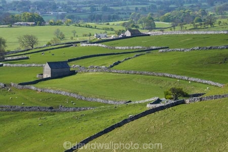 agricultural;agriculture;Britain;British-Isles;country;countryside;dry-stone-wall;dry-stone-walls;dry_stone-wall;dry_stone-walls;drystone-wall;drystone-walls;England;English-countryside;Europe;farm;Farm-Building;Farm-Buildings;Farm-Shed;Farm-Sheds;farming;farmland;farms;fence;fence-line;fence-lines;fence_line;fence_lines;fenceline;fencelines;fences;field;fields;G.B.;GB;grass;Great-Britain;green;heritage;historic;livestock;Malham;meadow;meadows;North-Yorkshire;Northern-England;paddock;paddocks;pasture;pastures;rock-wall;rock-walls;rural;Shearing-Shed;Shearing-Sheds;sheep;Sheep-Shed;Sheep-Sheds;stock;stone-building;stone-buildings;stone-farm-building;stone-farm-buildings;stone-fence;stone-fences;stone-wall;stone-walling;stone-wallings;stone-walls;tradition;traditional;U.K.;UK;United-Kingdom;Wool-Shed;Wool-Sheds;woolshed;woolsheds;Yorkshire;Yorkshire-countryside;Yorkshire-Dales;Yorkshire-Dales-National-Park;Yorkshire-Farm;Yorkshire-Farmland;Yorkshire-Farmlands;Yorkshire-Farms