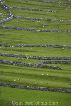 agricultural;agriculture;Britain;British-Isles;country;countryside;dry-stone-wall;dry-stone-walls;dry_stone-wall;dry_stone-walls;drystone-wall;drystone-walls;England;English-countryside;Europe;farm;farming;farmland;farms;fence;fence-line;fence-lines;fence_line;fence_lines;fenceline;fencelines;fences;field;fields;G.B.;GB;Great-Britain;heritage;historic;livestock;Malham;meadow;meadows;North-Yorkshire;Northern-England;paddock;paddocks;pasture;pastures;rock-wall;rock-walls;rural;sheep;stock;stone-fence;stone-fences;stone-wall;stone-walling;stone-wallings;stone-walls;tradition;traditional;U.K.;UK;United-Kingdom;Yorkshire;Yorkshire-countryside;Yorkshire-Dales;Yorkshire-Dales-National-Park;Yorkshire-Farm;Yorkshire-Farmland;Yorkshire-Farmlands;Yorkshire-Farms