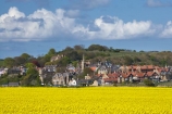 agricultural;agriculture;Bilton;Britain;British-Isles;country;countryside;crop;crops;England;English;Europe;farm;farming;farmland;farms;field;fields;G.B.;GB;Great-Britain;High-Buston;horticulture;meadow;meadows;N.E.-England;NE-England;North-East-England;Northumberland;paddock;paddocks;pasture;pastures;plant;plants;rape-field;rape-fields;rapeseed;rapeseed-field;rapeseed-fields;rapeseeds;rural;U.K.;UK;United-Kingdom;Warkworth;yellow;yellow-field;yellow-fields