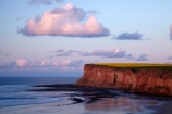 beach;beaches;bluff;bluffs;Britain;British-Isles;cliff;cliffs;coast;coastal;coastline;crop;crops;England;English;Europe;G.B.;GB;Great-Britain;N.E.-England;NE-England;North-East-England;North-Yorkshire;ocean;oceans;rape-field;rape-fields;rapeseed;rapeseed-field;rapeseed-fields;rapeseeds;Saltburn;Saltburn-by-the-Sea;Saltburn_by_the_Sea;sand;sandy;sea;seas;shore;shoreline;steep;U.K.;UK;United-Kingdom;yellow;yellow-field;yellow-fields;Yorkshire