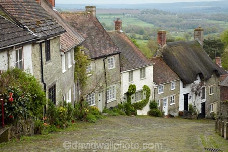 Britain;building;buildings;Dorset;England;G.B.;GB;Gold-Hill;grass-roof;Great-Britain;heritage;historic;historic-building;historic-buildings;historical;historical-building;historical-buildings;history;old;roof;roofing-material;roofs;rooves;Shaftesbury;steep-cobbled-street;stone-buidling;stone-buildings;straw-roof;straw-rooves;thatch;thatched;thatched-cottage;thatched-cottages;thatched-house;thatched-houses;thatched-roof;thatched-roofs;thatched-rooves;thatching;tradition;traditional;traditional-thatched-cottage;traditional-thatched-cottages;U.K.;UK;United-Kingdom
