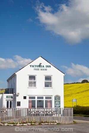 8022;agricultural;agriculture;ale-house;ale-houses;and;architecture;bar;bars;britain;building;buildings;chickerell;colonial;country;countryside;crop;crops;dorset;england;farm;farming;farmland;farms;field;fields;free;free-house;free-houses;G.B.;GB;great-britain;heritage;historic;historic-building;historic-buildings;historical;historical-building;historical-buildings;history;horticulture;hotel;hotels;house;inn;kingdom;meadow;meadows;near;old;paddock;paddocks;pasture;pastures;place;places;plant;plants;pub;public-house;public-houses;pubs;rape-field;rape-fields;rapeseed;Rapeseed-Field;rapeseed-fields;rapeseeds;rural;saloon;saloons;tavern;taverns;tradition;traditional;U.K.;uk;united;united-kingdom;victoria;Victoria-Inn-Free-House;Victoria-Inn-Pub;weymouth;yellow;yellow-field;yellow-fields