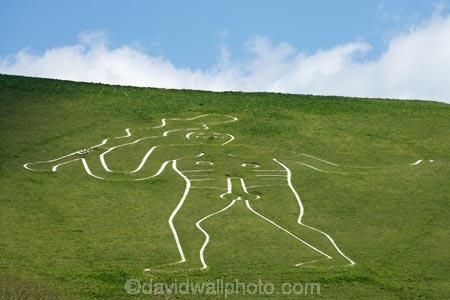 abbas;agricultural;agriculture;britain;cerne;Cerne-Abbas;Cerne-Abbas-giant;country;countryside;dorchester;dorset;england;English-countryside;farm;farming;farmland;farms;field;fields;G.B.;GB;giant;giant-man;giant-naked-man;grass;great-britain;green;kingdom;meadow;meadows;naked;near;o8l4908;paddock;paddocks;pasture;pastures;phallic;Rude-Giant;Rude-Man;rural;U.K.;uk;united;united-kingdom