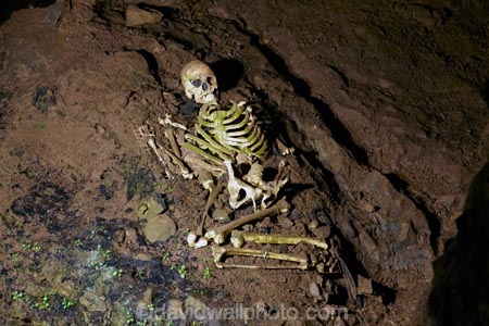 bone;bones;Britain;cave;cavern;caverns;cavers;caves;caving;Cheddar;Cheddar-Cave;Cheddar-Caves;Cheddar-Man;Cheddar-show-cave;Cheddar-show-caves;England;explore;explorers;exploring;G.B.;GB;Goughs-Cave;Goughs-Cave;Great-Britain;grotto;grottos;human-skeleton;human-skeletons;remains;Sedgemoor;show-cave;show-caves;skeleton;skeletons;Somerset;U.K.;UK;United-Kingdom
