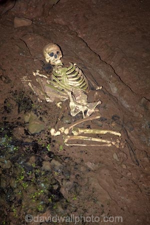 bone;bones;Britain;cave;cavern;caverns;cavers;caves;caving;Cheddar;Cheddar-Cave;Cheddar-Caves;Cheddar-Man;Cheddar-show-cave;Cheddar-show-caves;England;explore;explorers;exploring;G.B.;GB;Goughs-Cave;Goughs-Cave;Great-Britain;grotto;grottos;human-skeleton;human-skeletons;remains;Sedgemoor;show-cave;show-caves;skeleton;skeletons;Somerset;U.K.;UK;United-Kingdom