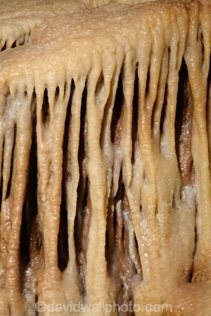 Britain;cave;cavern;caverns;cavers;caves;caving;Cheddar;Cheddar-Cave;Cheddar-Caves;Cheddar-show-cave;Cheddar-show-caves;England;explore;explorers;exploring;G.B.;GB;Goughs-Cave;Goughs-Cave;Great-Britain;grotto;grottos;Limesone-waterfall;Limesone-waterfall;limestone-cave;limestone-caves;limestone-formation;limestone-formations;limestone-rock-formation;limestone-rock-formations;Sedgemoor;show-cave;show-caves;Somerset;stalactite;stalactites;stalagmite;stalagmites;U.K.;UK;United-Kingdom