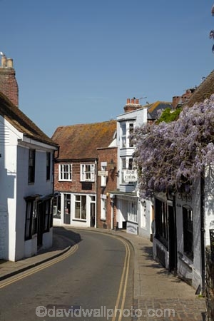 Britain;British-Isles;Cinque-Ports;East-Sussex;England;Europe;G.B.;GB;Great-Britain;image;images;photo;photos;Rye;South-East-England;Sussex;The-Mint;U.K.;UK;United-Kingdom;Wistaria;Wisteria