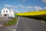 8020;agricultural;agriculture;ale-house;ale-houses;and;architecture;bar;bars;britain;building;buildings;chickerell;colonial;country;countryside;crop;crops;dorset;england;farm;farming;farmland;farms;field;fields;free;free-house;free-houses;G.B.;GB;great-britain;heritage;historic;historic-building;historic-buildings;historical;historical-building;historical-buildings;history;horticulture;hotel;hotels;house;inn;kingdom;meadow;meadows;near;old;paddock;paddocks;pasture;pastures;place;places;plant;plants;pub;public-house;public-houses;pubs;rape-field;rape-fields;rapeseed;Rapeseed-Field;rapeseed-fields;rapeseeds;rural;saloon;saloons;tavern;taverns;tradition;traditional;U.K.;uk;united;united-kingdom;victoria;Victoria-Inn-Free-House;Victoria-Inn-Pub;weymouth;yellow;yellow-field;yellow-fields