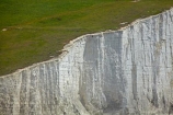 bluff;bluffs;Britain;British-Isles;chalk-cliff;chalk-cliffs;chalk-downland;chalk-downlands;chalk-downs;chalk-formation;chalk-formations;chalk-headland;chalk-headlands;chalk-layer;chalk-layers;cliff;cliffs;Cretaceous-chalk-layer;Cuckmere-Haven;down;downland;downlands;downs;East-Sussex;England;English;eroded;erosion;Europe;formation;formations;G.B.;GB;geological;geological-formation;geological-formations;geology;Great-Britain;image;images;layer;layering;layers;limestone;natural;natural-landscape;natural-landscapes;photo;photos;rock-formation;rock-formations;S.E.-England;SE-England;Seaford;sedimentary-layer;sedimentary-layers;Seven-Sisters;Seven-Sisters-Chalk-Cliffs;Seven-Sisters-Cliffs;Seven-Sisters-Country-Park;South-Downs;South-Downs-N.P.;South-Downs-National-Park;South-Downs-NP;South-East-England;Southern-England;steep;stone;strata;stratum;Sussex;The-Seven-Sisters;U.K.;UK;United-Kingdom;unusual-natural-feature;unusual-natural-features;unusual-natural-formation;unusual-natural-formations;water;white-chalk-cliff;white-chalk-cliffs;White-Cliff;white-cliffs