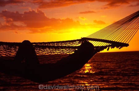 beach;beaches;coast;coastline;heavenly;holiday;holidays;horizon;horizons;idyllic;island;islands;leisure;melanesia;ocean;outdoor;outdoors;outside;pacific;sand;sandy;scenic;scenics;sea;shore;shores;shoreline;summer;summertime;travel;travels;tropical;vacation;vacations;vegetation;viti-levu;water;world-locations;world-travel;silhouette;hammock;hammocks;sleep;relax;relaxing;serene;peaceful;quiet;restful;rest;calm;tranquil;still;alone;calmness;one-person;relaxation;silence;sunset;sunsets;dusk;sky;single