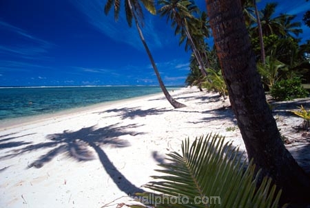 beach;beaches;coast;coastline;coconut-palm;coconut-palms;coconut-tree;coconut-trees;cocos-nucifera;heavenly;holiday;holidays;horizon;horizons;idyllic;island;islands;leisure;melanesia;ocean;outdoor;outdoors;outside;pacific;palm;palm-tree;palms;palm-trees;paradise;plant;plants;sand;sandy;scenic;scenics;sea;shadow;shadows;shore;shores;shoreline;summer;summertime;travel;travels;tree;trees;tropical;vacation;vacations;vegetation;viti-levu;water;world-locations;world-travel;horse;rider;ride;relax;relaxing;serene;peaceful;quiet;restful;rest;calm;tranquil;still