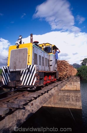 train;trains;rail;railway;rails;sugar;cane;sugar-cane;industry;industrial;transport;transportation;cartage;haul;haulage;freight;bridge;bridges