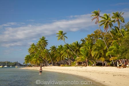 beach;beaches;beachfront-bure;beachfront-bures;bure;bures;coast;coastal;coastline;coastlines;coasts;female;Fij;Fiji;Fiji-Islands;foreshore;girl;girls;holiday;holiday-resort;holiday-resorts;holidays;Malolo-Lailai-Is;Malolo-Lailai-Island;Malololailai-Is;Malololailai-Island;Mamanuca-Group;Mamanuca-Is;Mamanuca-Island-Group;Mamanuca-Islands;Mamanucas;ocean;Pacific;Pacific-Island;Pacific-Islands;palm;palm-tree;palm-trees;palms;paradise;Plantation-Is;Plantation-Is-Resort;Plantation-Island;Plantation-Island-Resort;resort;resort-hotel;resort-hotels;resorts;sand;sandy;sea;shore;shoreline;shorelines;shores;South-Pacific;tropical-island;tropical-islands;vacation;vacations;water;waterfront-bure;waterfront-bures;woman;women