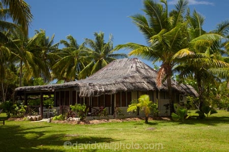 bure;bures;Fij;Fiji;Fiji-Islands;garden-bure;garden-bures;holiday;holiday-accommodation;holiday-resort;holiday-resorts;holidays;island;islands;Malolo-Lailai-Is;Malolo-Lailai-Island;Mamanuca-Group;Mamanuca-Is;Mamanuca-Island-Group;Mamanuca-Islands;Mamanucas;Musket-Cove-Island-Resort;Musket-Cove-Resort;Pacific;Pacific-Island;Pacific-Islands;palm;palm-tree;palm-trees;palms;resort;resort-hotel;resort-hotels;resorts;South-Pacific;tropical-island;tropical-islands;vacation;vacations